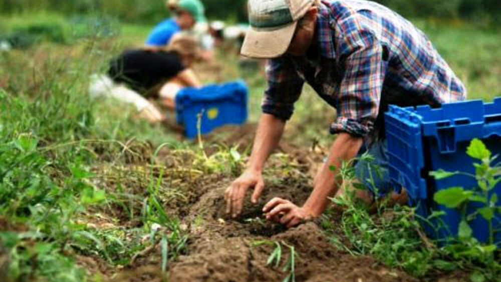 RINNOVATO CONTRATTO PROVINCIALE AGRICOLO E FLOROVIVAISTI DI PAVIA