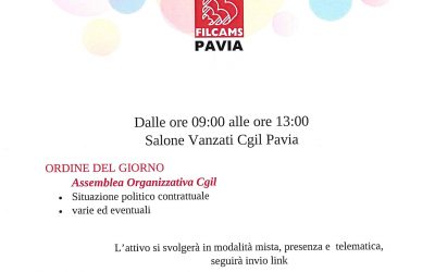 ATTIVO DELEGATE E DELEGATI FILCAMS CGIL PAVIA