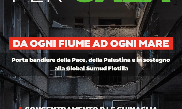 Pavia per Gaza